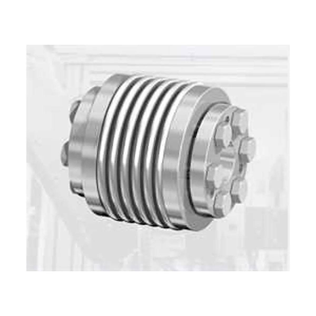 Ringfeder GWB AK  Metal Bellows Coupling