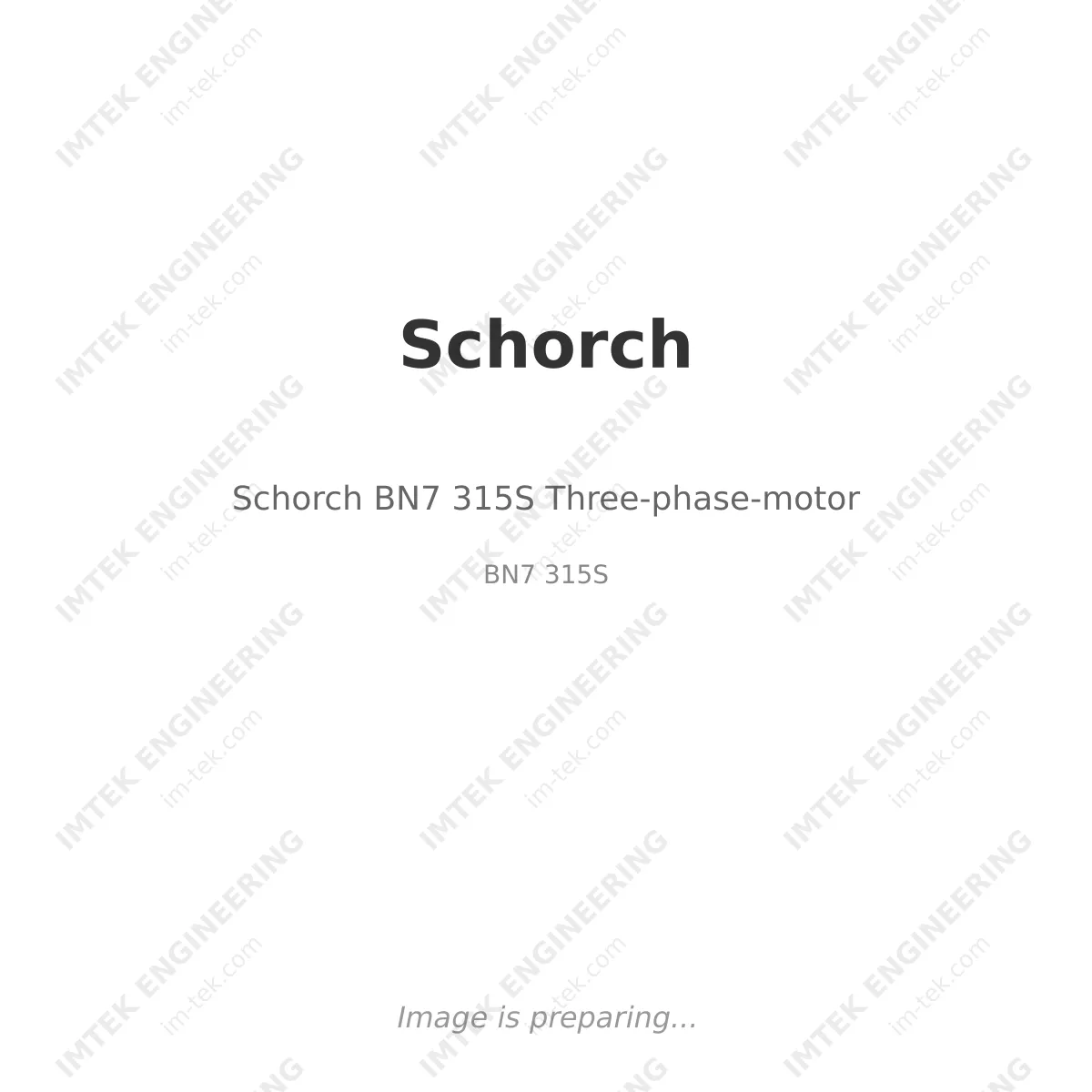 Schorch BN7 315S  Three-phase-motor