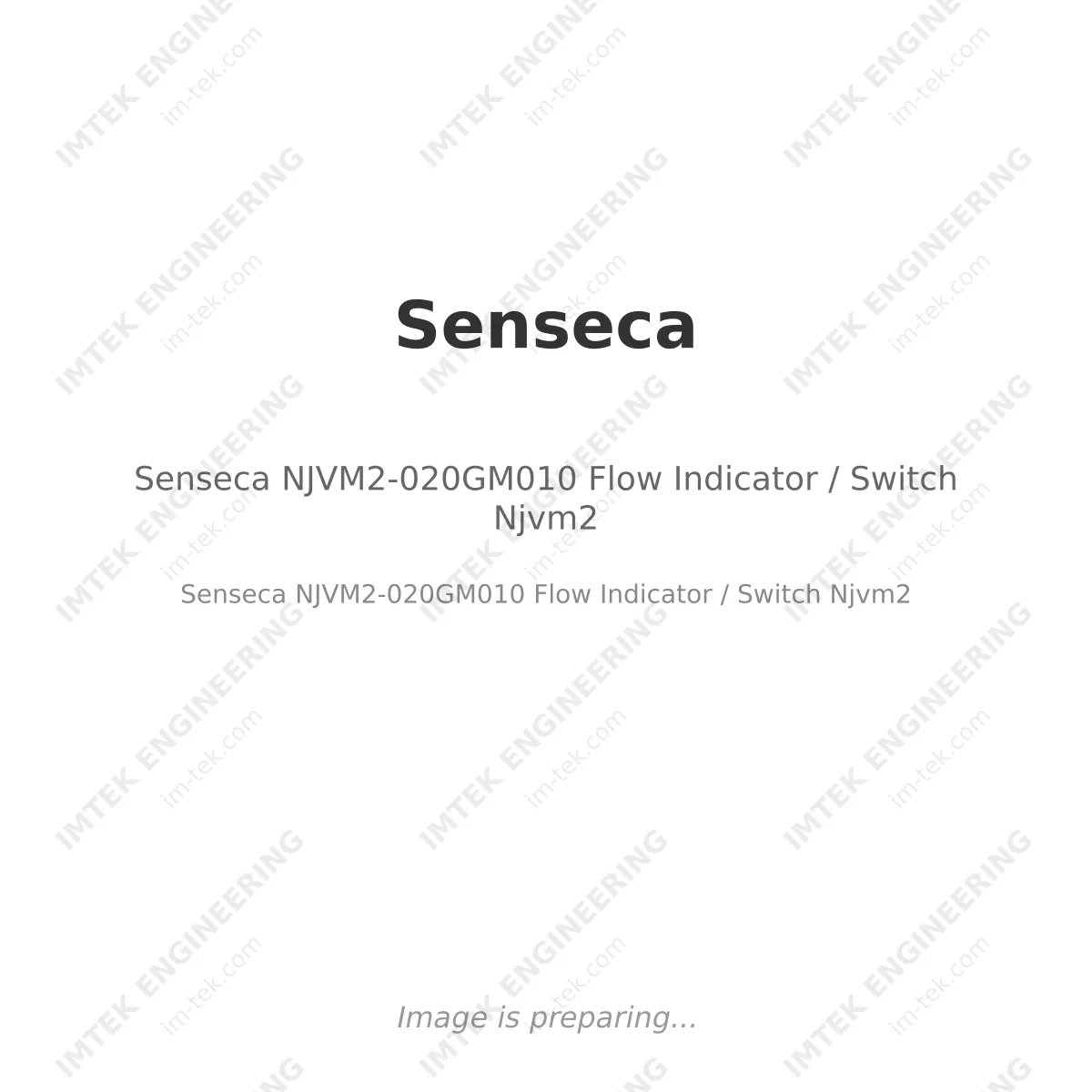 Senseca NJVM2-020GM010 Flow Indicator / Switch Njvm2