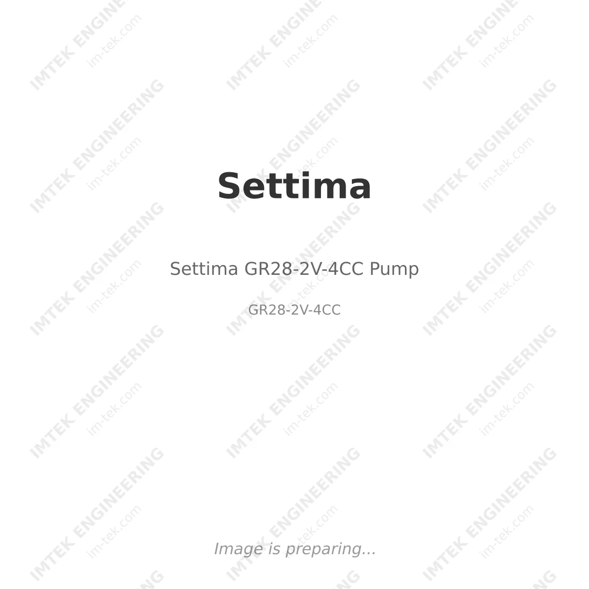 Settima GR28-2V-4CC Pump