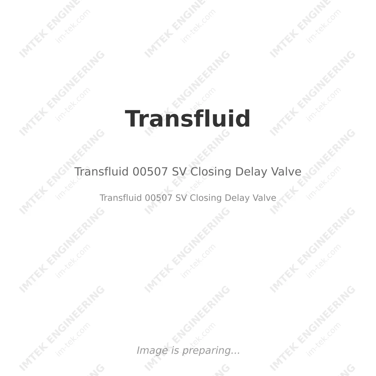 Transfluid 00507  SV  Closing Delay Valve