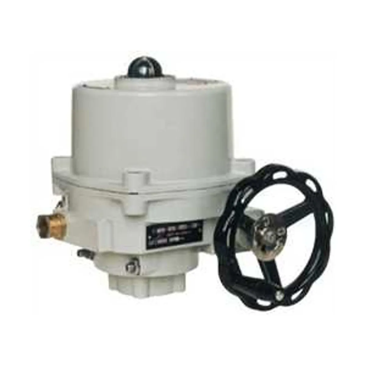 Zpa Pecky MOKPED Ex Series Electric Actuator