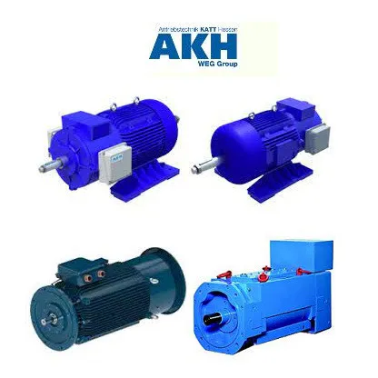 AKH AKH Type: TFF160MG-12/BDF Asynchronous Motor - AKH