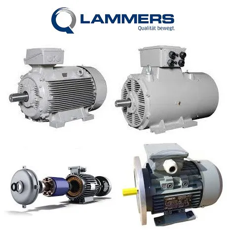 Lammers Lammers 070600-FL210A007 Suction Filter - 070600-FL210A007