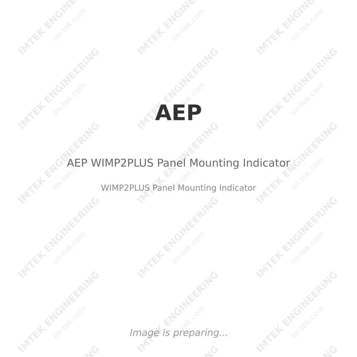 AEP AEP WIMP2PLUS Panel Mounting Indicator - WIMP2PLUS Panel Mounting Indicator