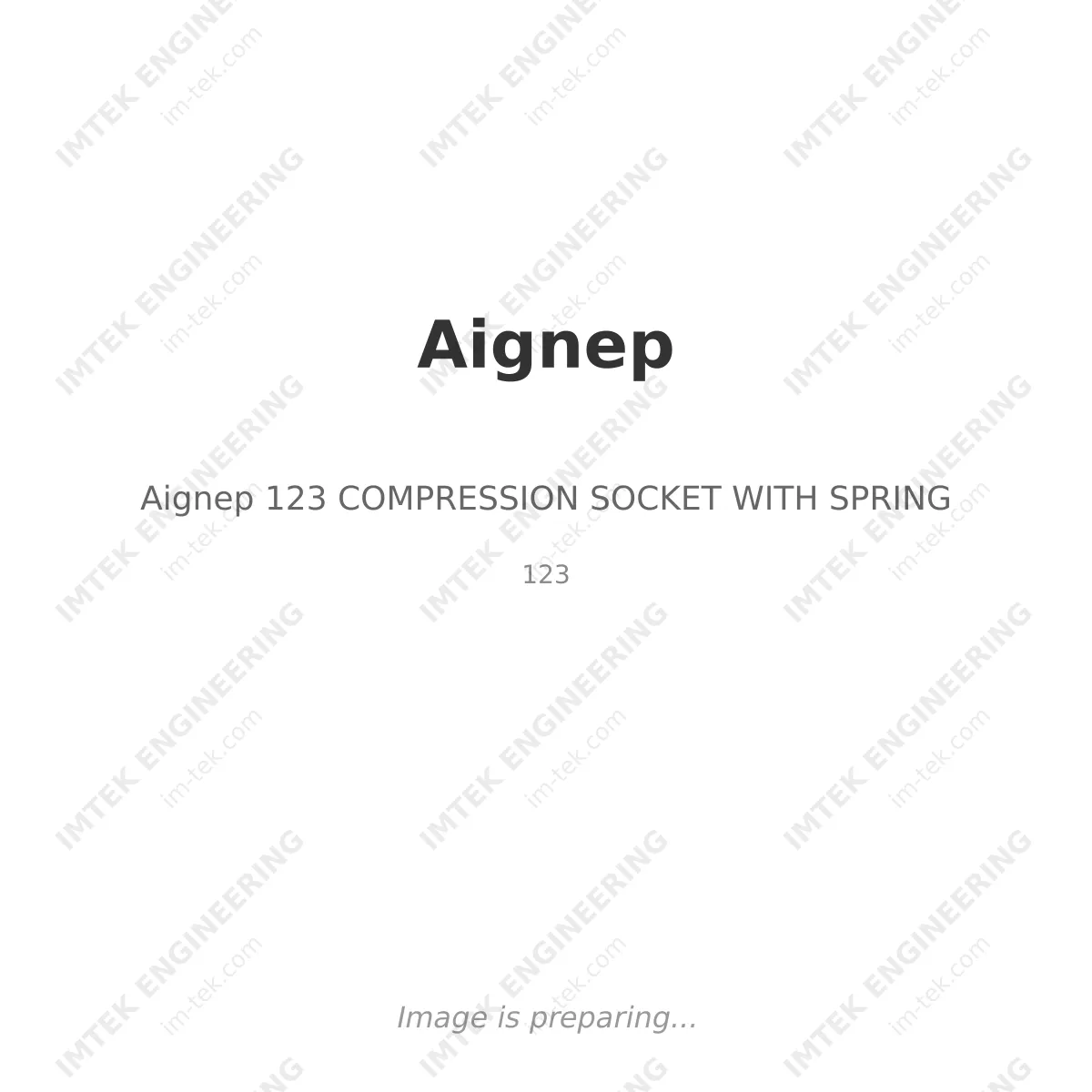 Aignep Aignep 123 COMPRESSION SOCKET WITH SPRING - 123