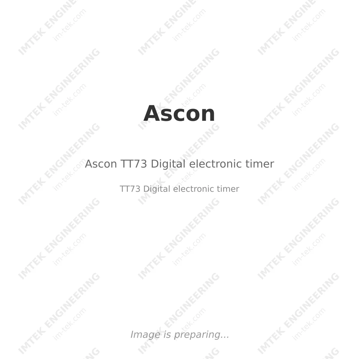 Ascon Ascon TT73 Digital electronic timer - TT73 Digital electronic timer