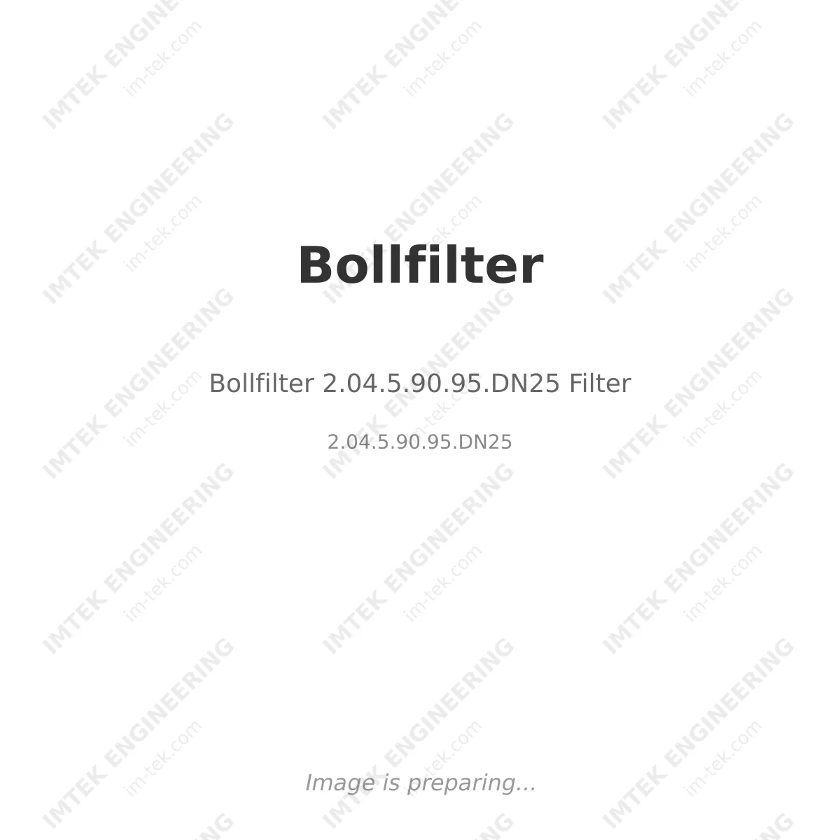 Bollfilter Bollfilter 2.04.5.90.95.DN25 Filter - 2.04.5.90.95.DN25