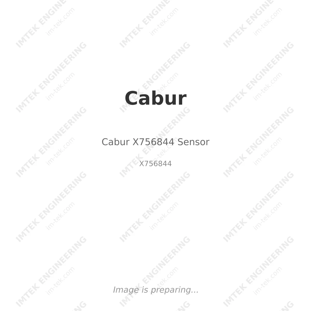 Cabur Cabur X756844 Sensor - X756844