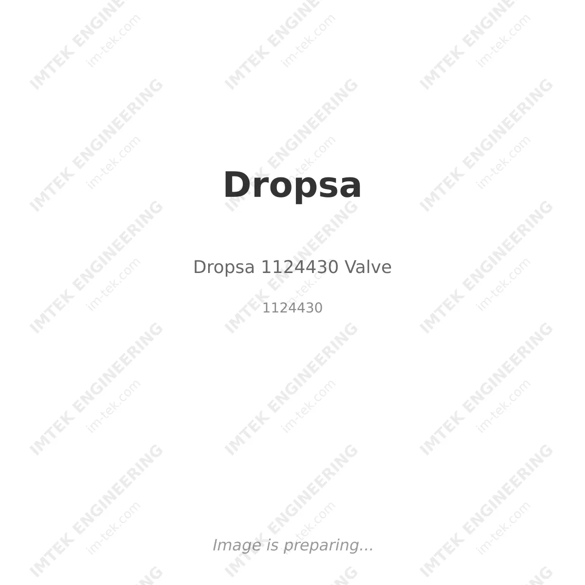 Dropsa Dropsa 1124430 Valve - 1124430