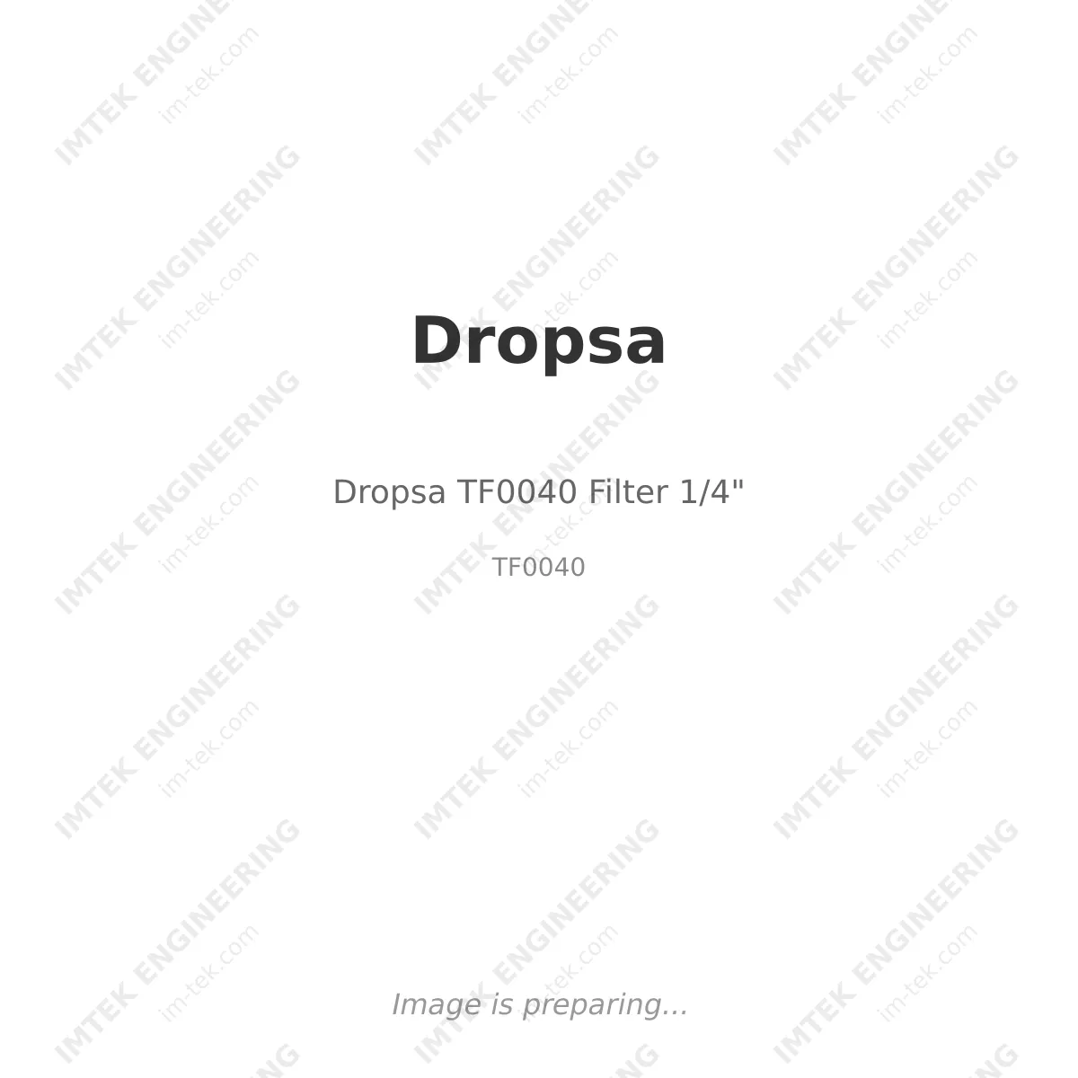 Dropsa Dropsa TF0040 Filter 1/4" - TF0040