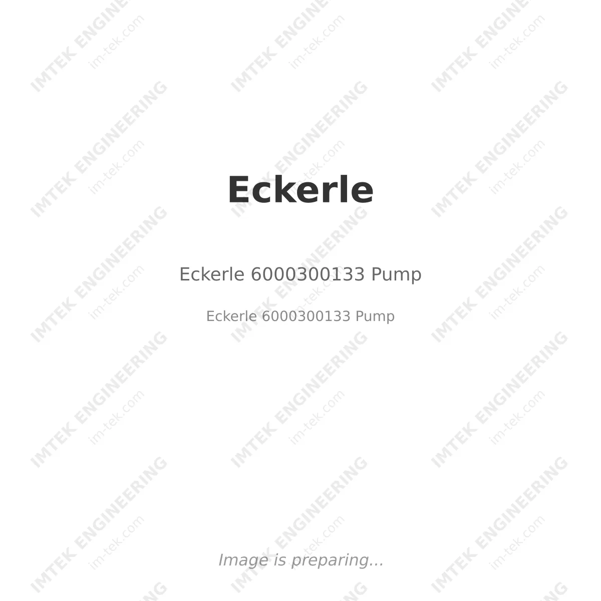 Eckerle Eckerle 6000300133 Pump - Eckerle 6000300133 Pump