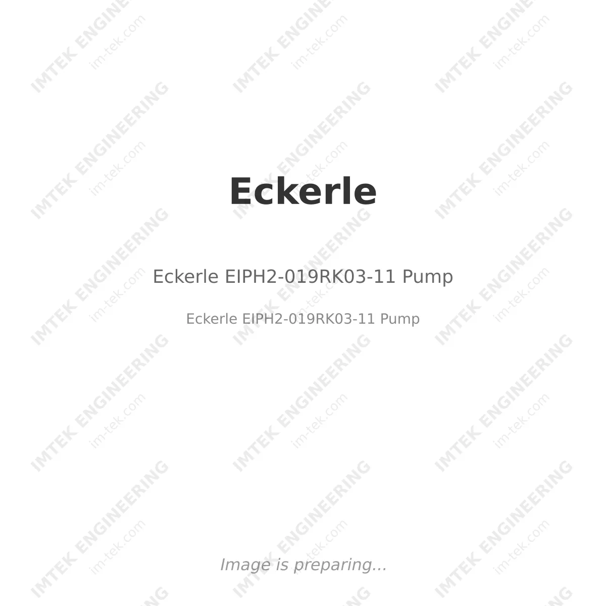 Eckerle Eckerle EIPH2-019RK03-11 Pump - Eckerle EIPH2-019RK03-11 Pump