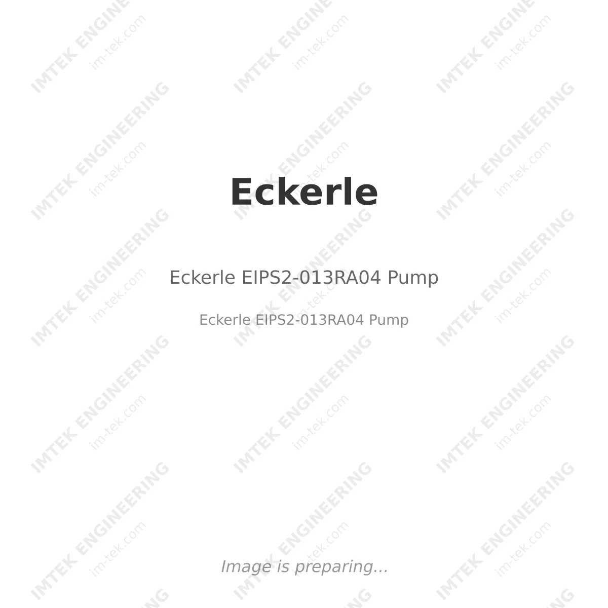 Eckerle Eckerle EIPS2-013RA04 Pump - Eckerle EIPS2-013RA04 Pump