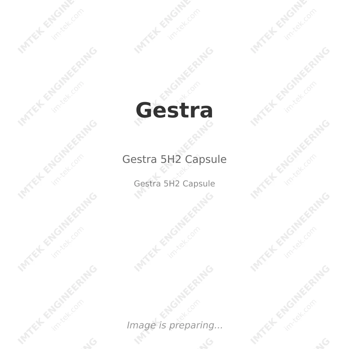 Gestra Gestra 5H2 Capsule - Gestra 5H2 Capsule
