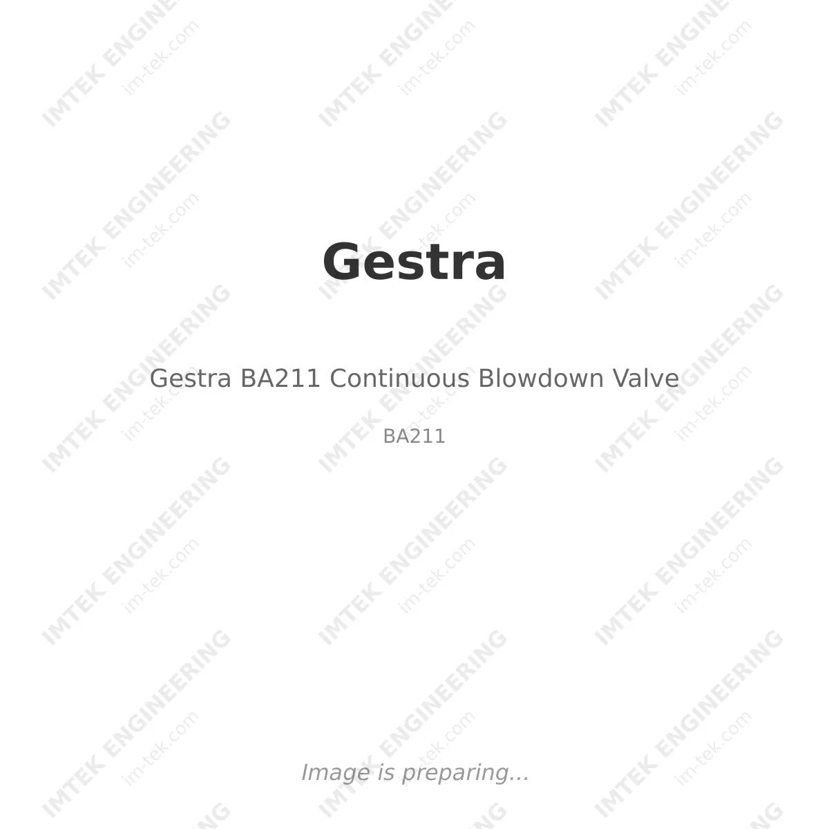 Gestra Gestra BA211 Continuous Blowdown Valve - BA211