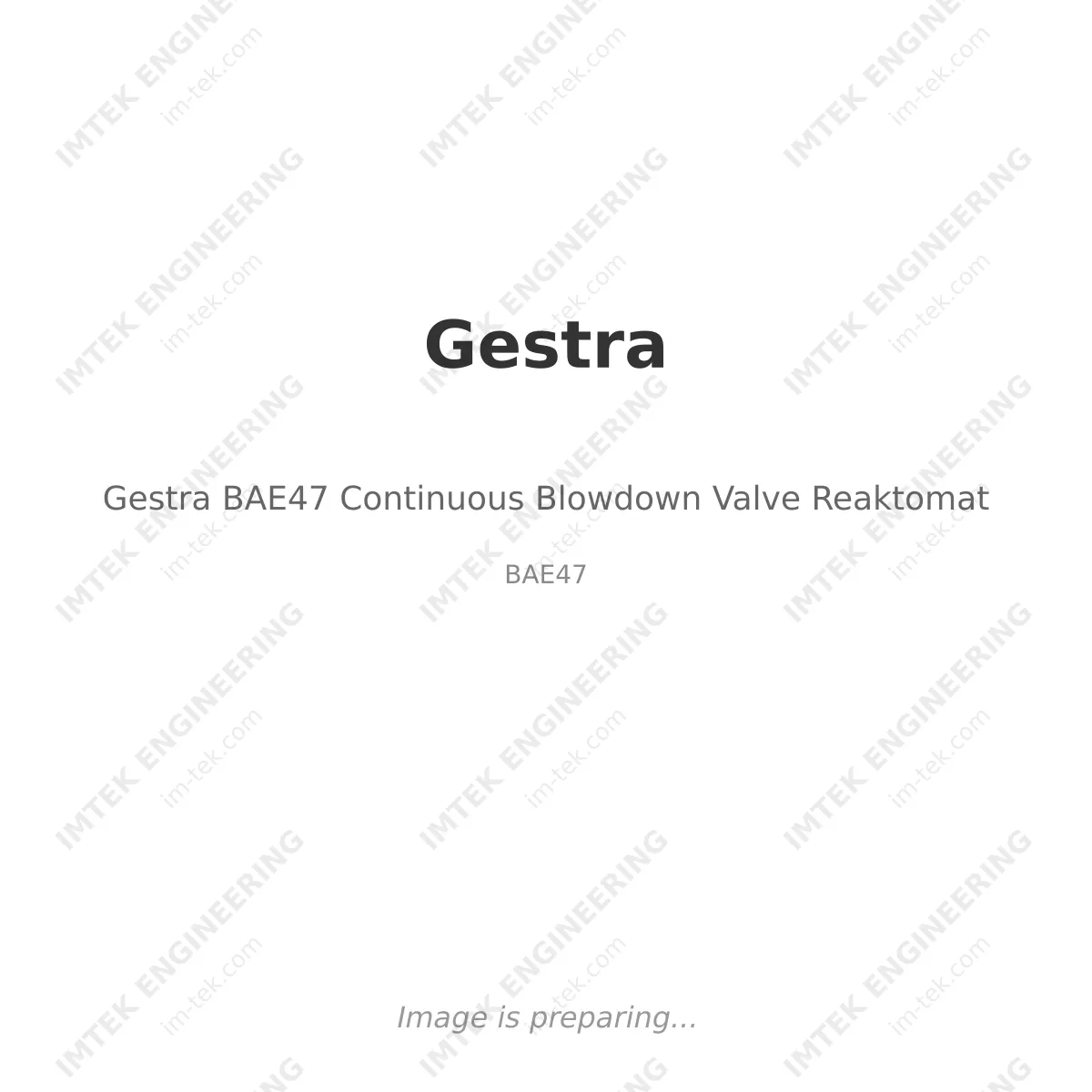 Gestra Gestra BAE47 Continuous Blowdown Valve Reaktomat - BAE47