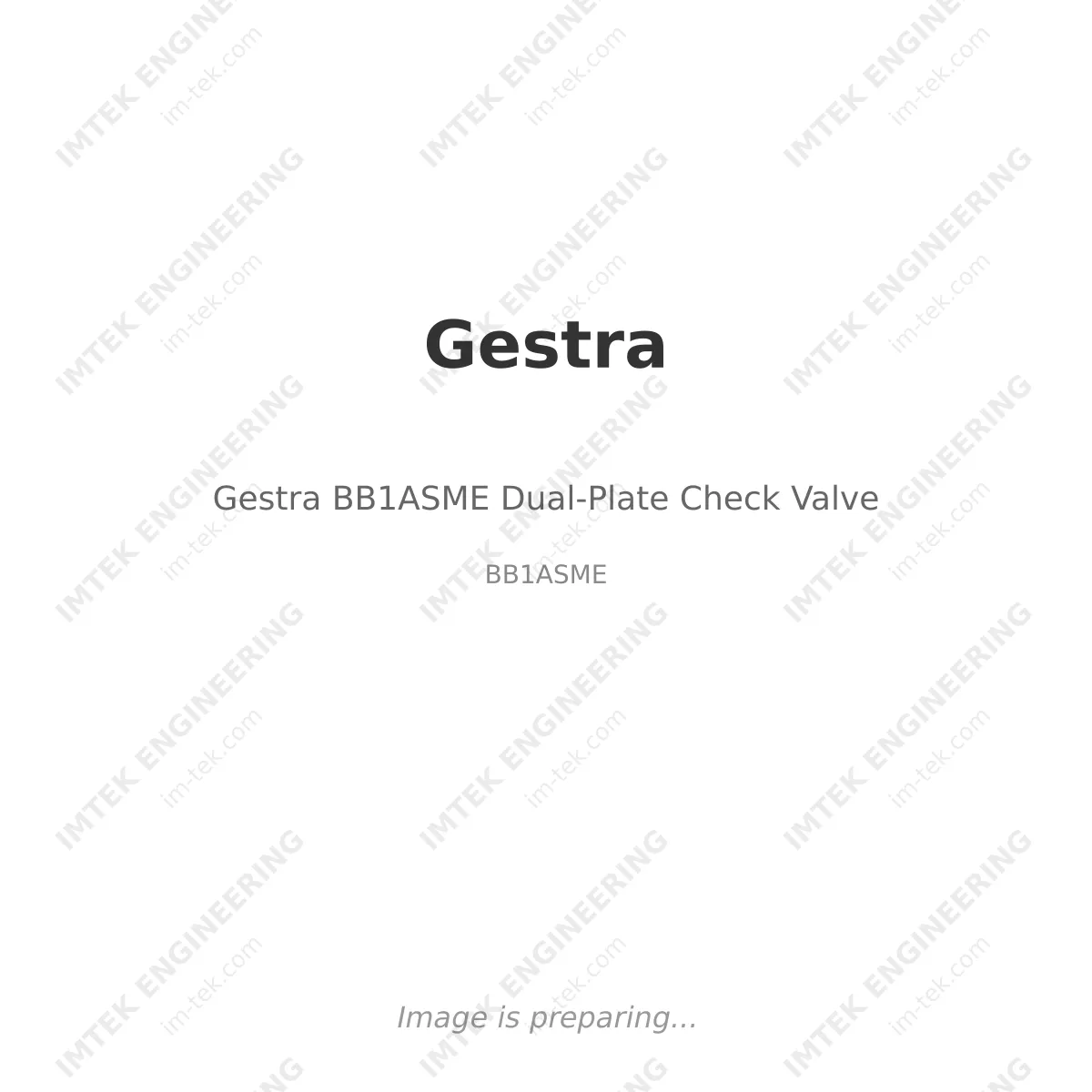 Gestra Gestra BB1ASME Dual-Plate Check Valve - BB1ASME