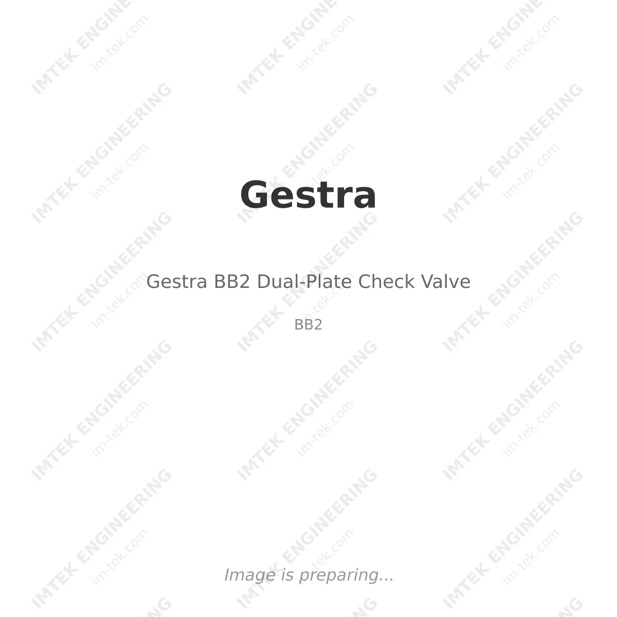 Gestra Gestra BB2 Dual-Plate Check Valve - BB2