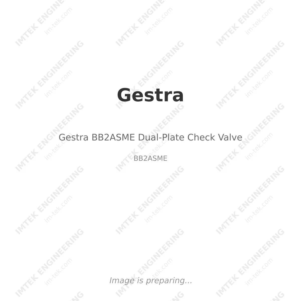 Gestra Gestra BB2ASME Dual-Plate Check Valve - BB2ASME