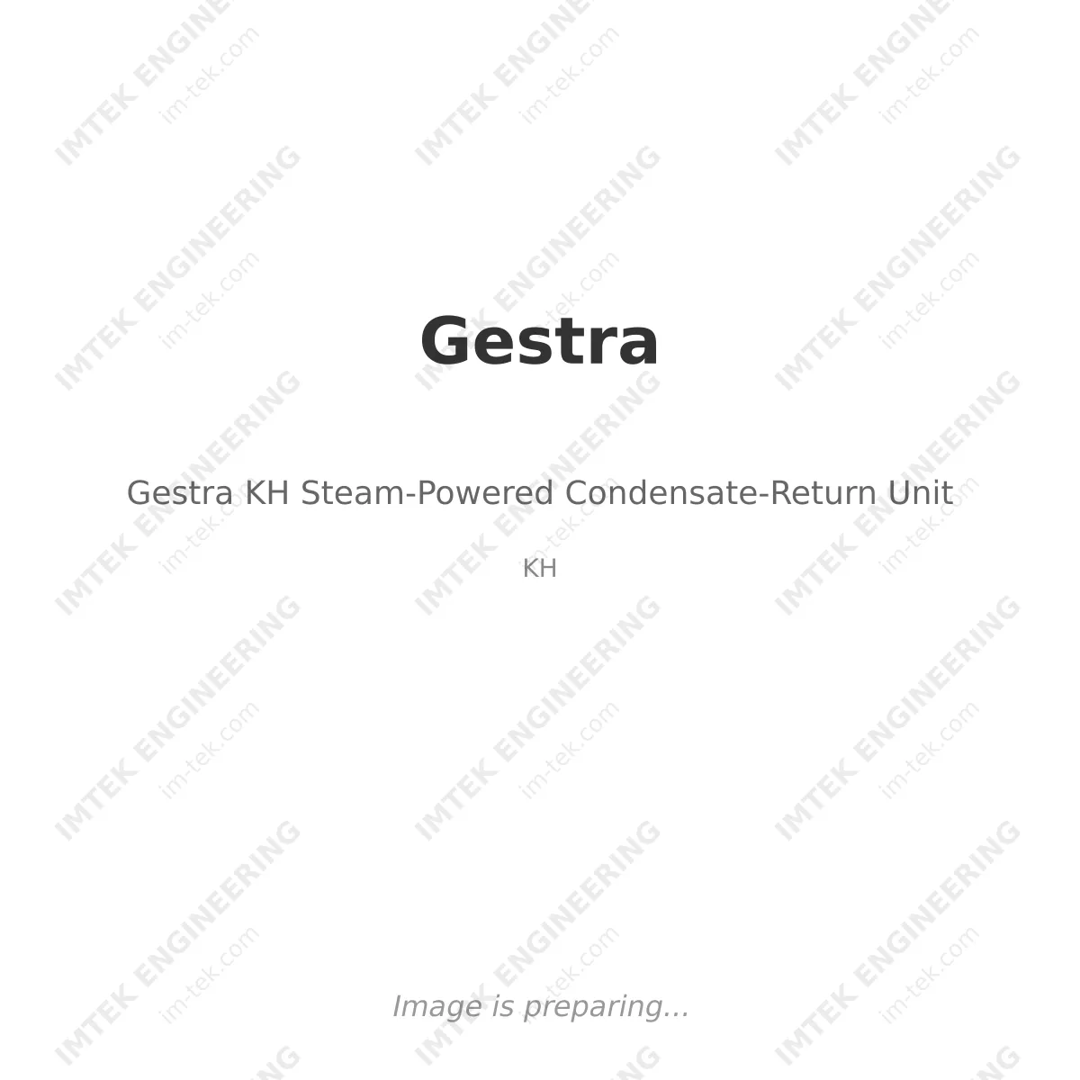 Gestra Gestra KH Steam-Powered Condensate-Return Unit - KH