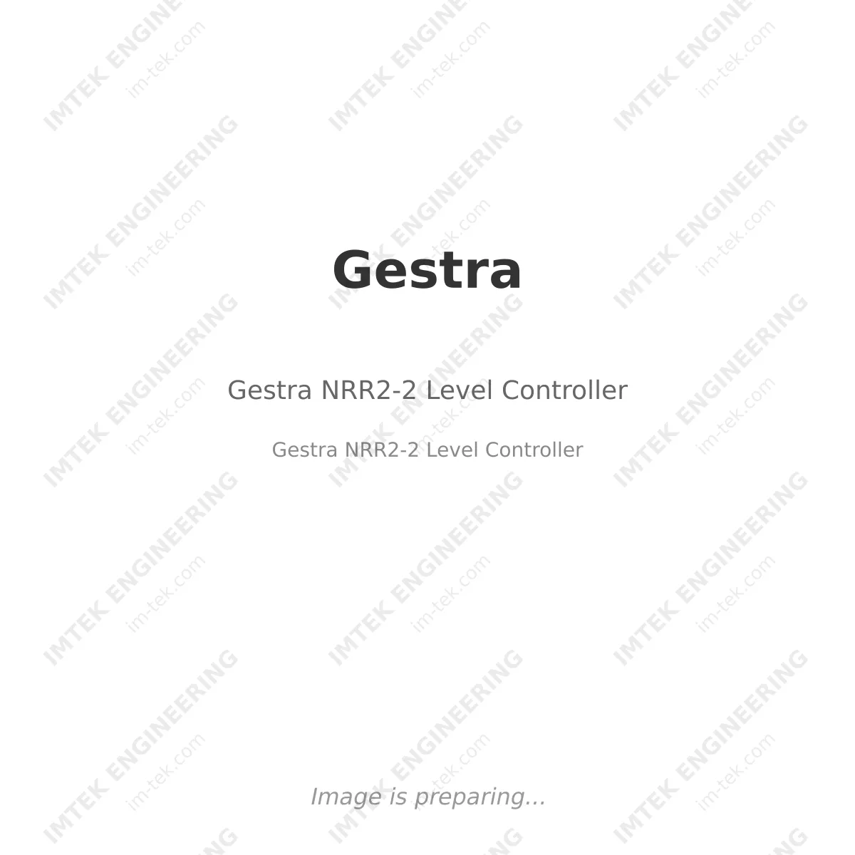 Gestra Gestra NRR2-2 Level Controller - Gestra NRR2-2 Level Controller
