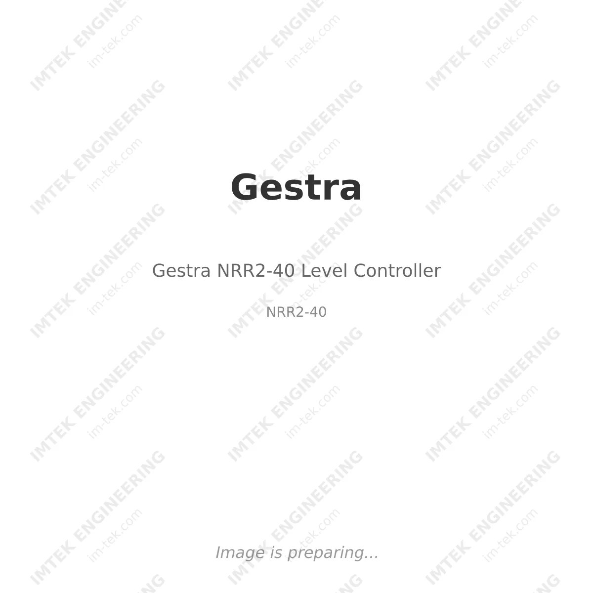 Gestra Gestra NRR2-40 Level Controller - NRR2-40