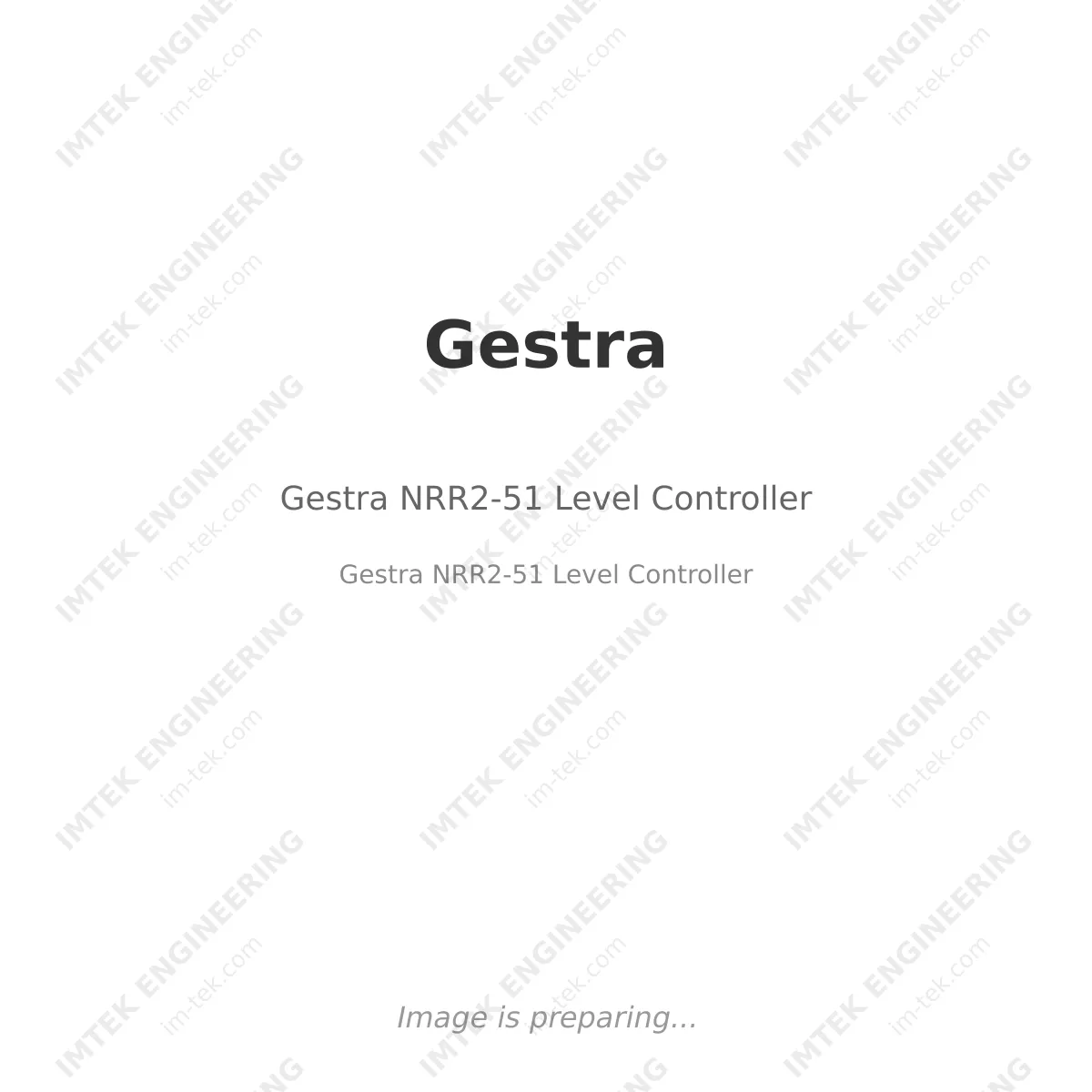 Gestra Gestra NRR2-51 Level Controller - Gestra NRR2-51  Level Controller