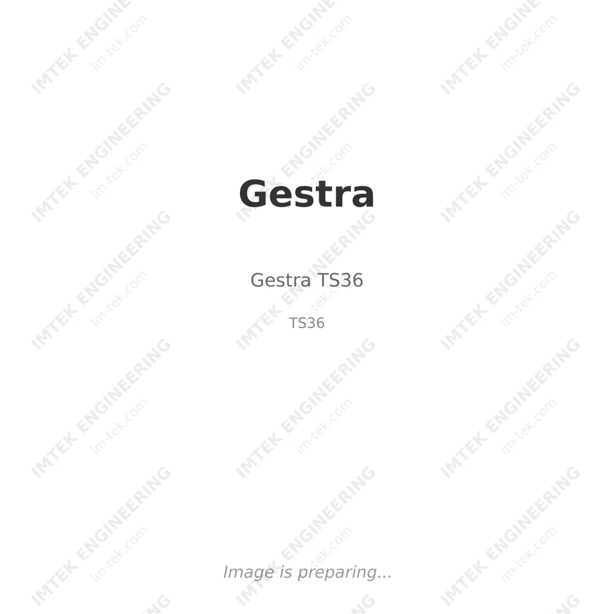 Gestra Gestra TS36 - TS36