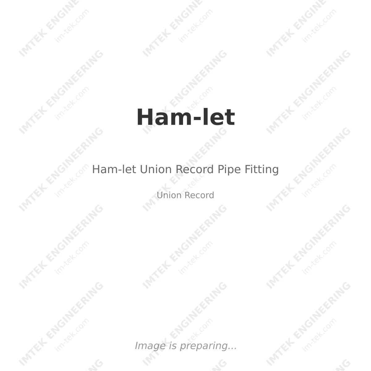 Ham-let Ham-let Union Record Pipe Fitting - Union Record