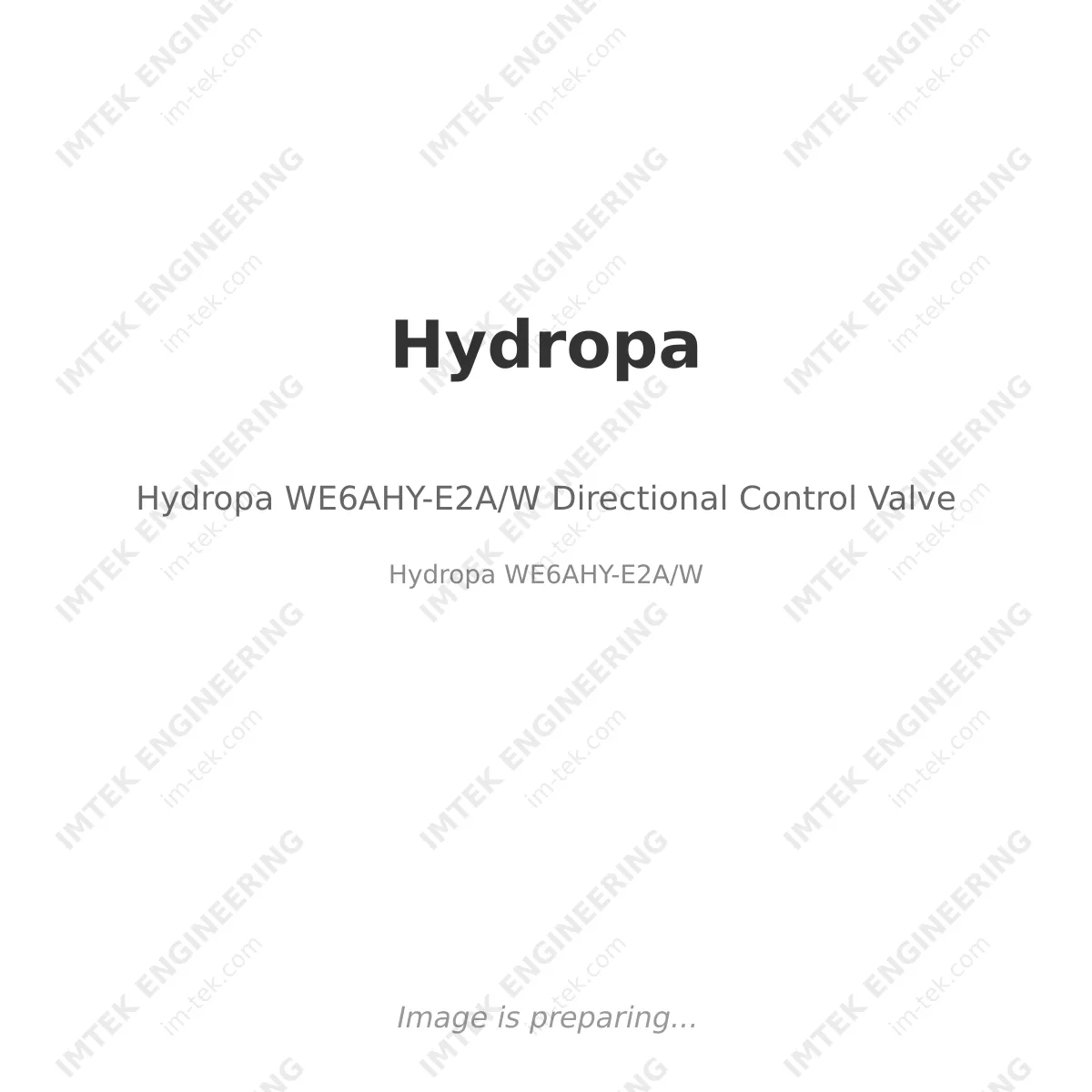 Hydropa Hydropa WE6AHY-E2A/W Directional Control Valve - Hydropa WE6AHY-E2A/W