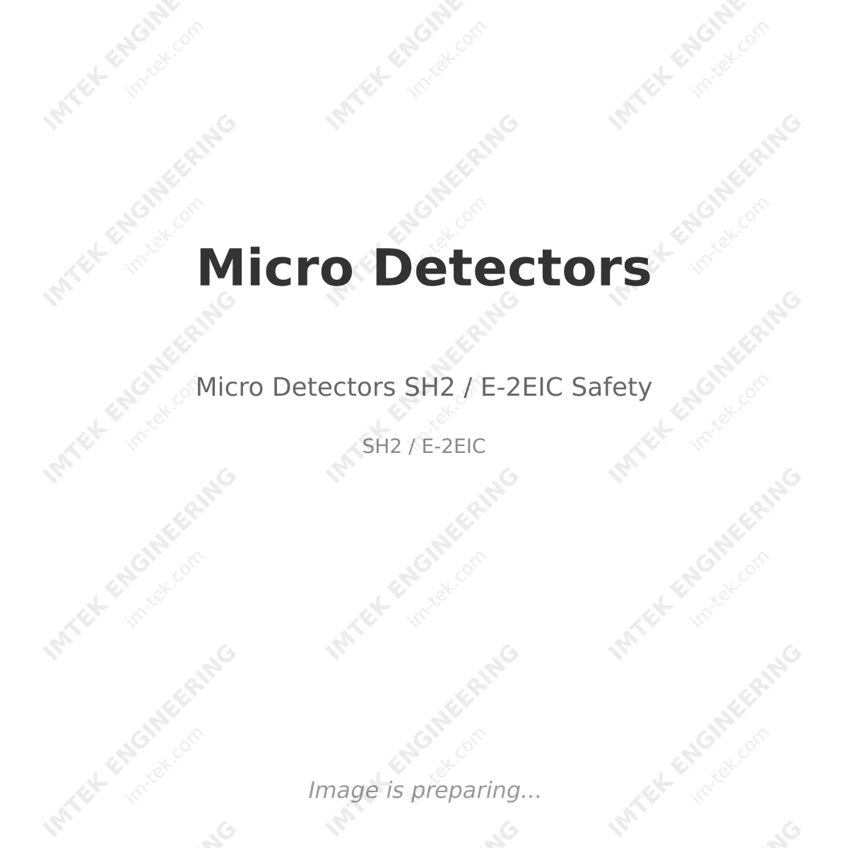 Micro Detectors Micro Detectors SH2 / E-2EIC Safety - SH2 / E-2EIC