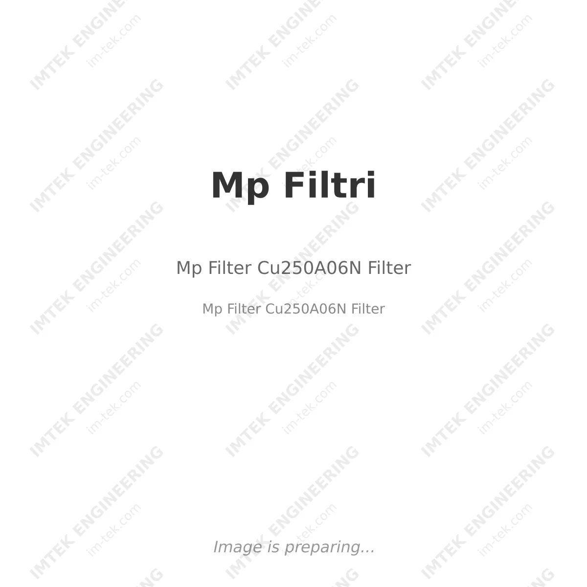 Mp Filtri Mp Filter Cu250A06N Filter - Mp Filter Cu250A06N Filter