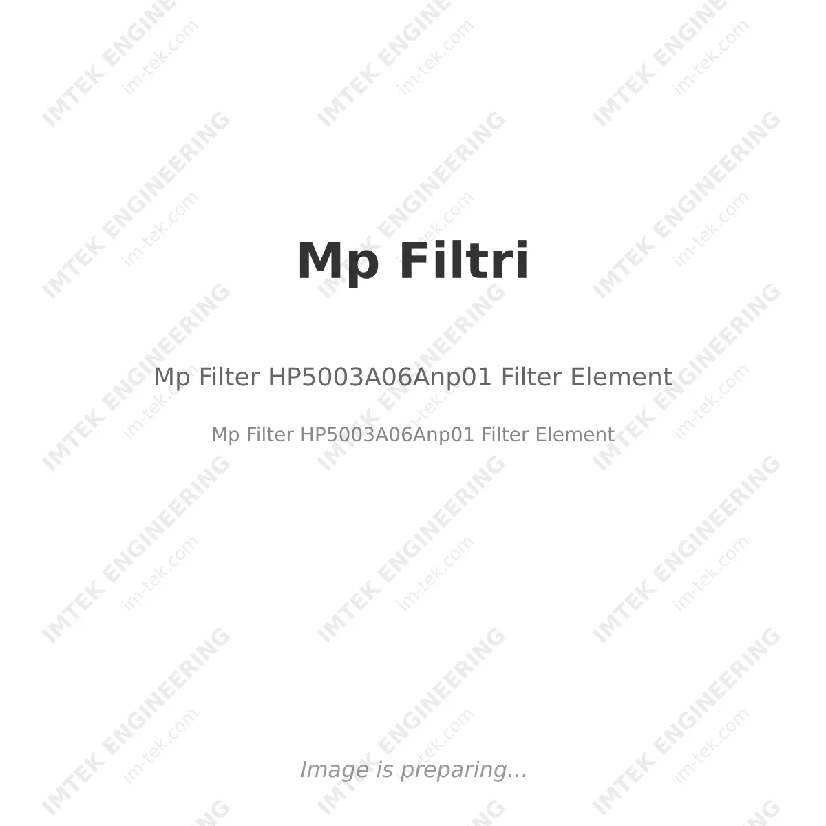 Mp Filtri Mp Filter HP5003A06Anp01 Filter Element - Mp Filter HP5003A06Anp01 Filter Element