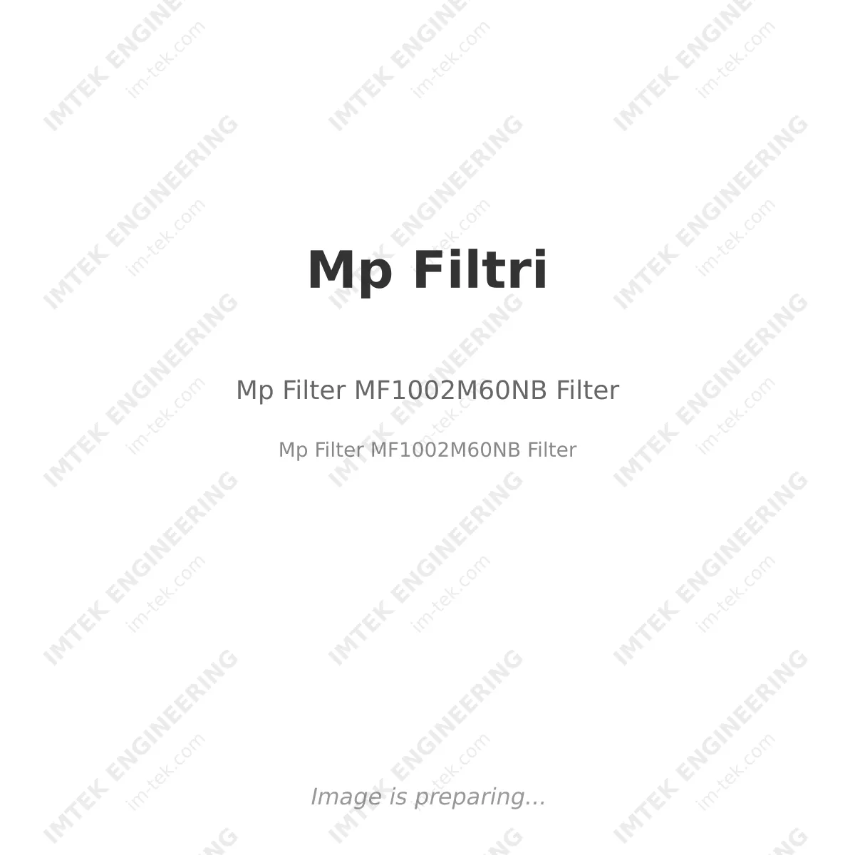 Mp Filtri Mp Filter MF1002M60NB Filter - Mp Filter MF1002M60NB Filter