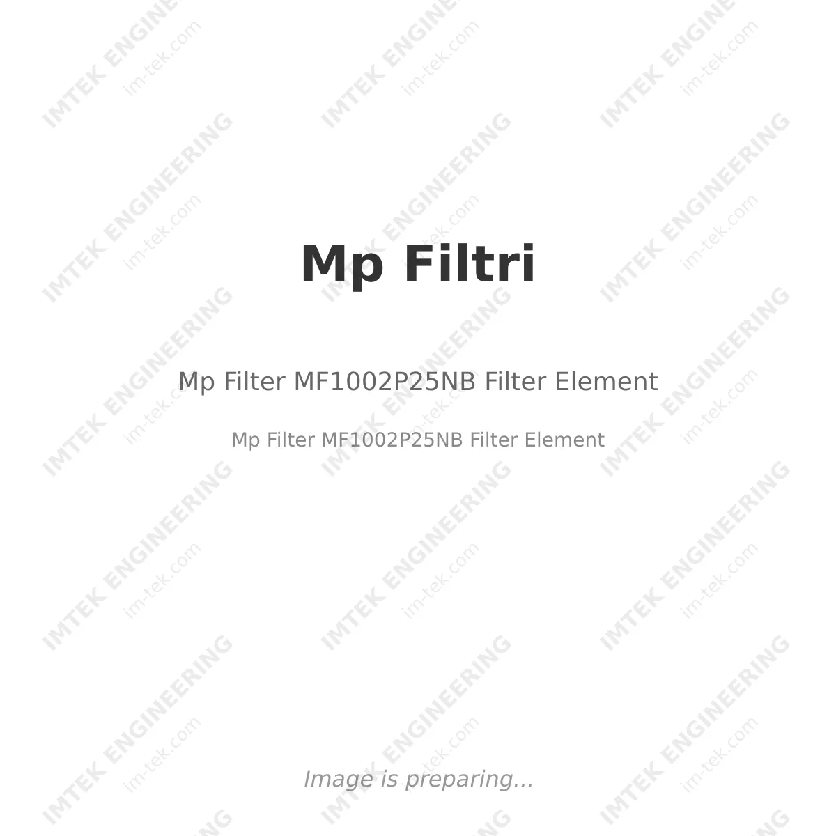 Mp Filtri Mp Filter MF1002P25NB Filter Element - Mp Filter MF1002P25NB Filter Element