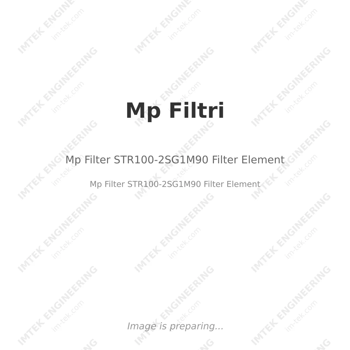 Mp Filtri Mp Filter STR100-2SG1M90 Filter Element - Mp Filter STR100-2SG1M90  Filter Element