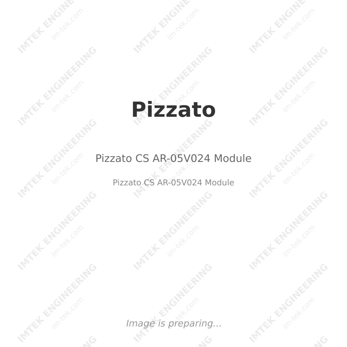 Pizzato Pizzato CS AR-05V024 Module - Pizzato CS AR-05V024  Module