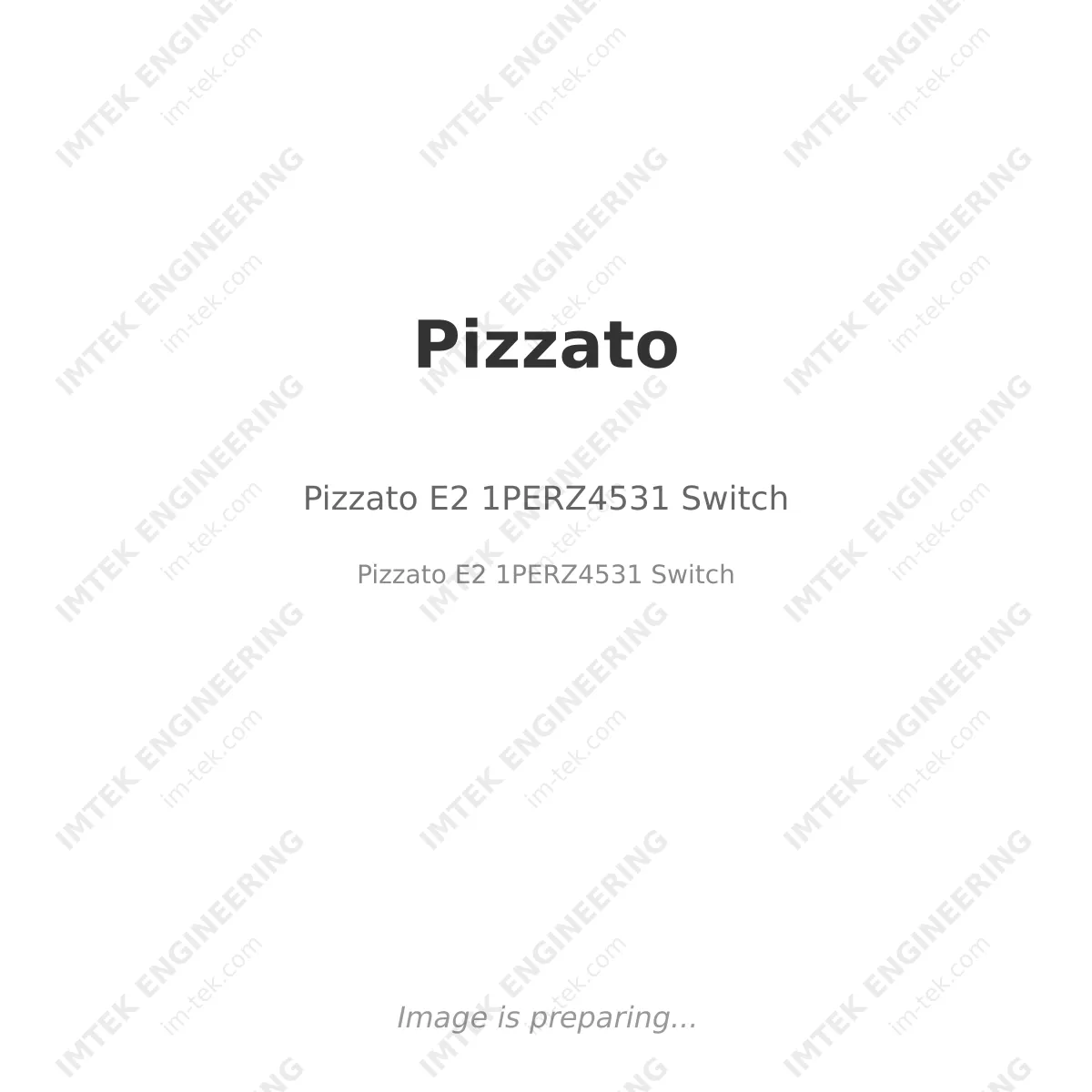 Pizzato Pizzato E2 1PERZ4531 Switch - Pizzato E2 1PERZ4531 Switch