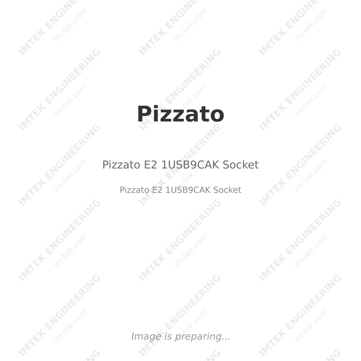 Pizzato Pizzato E2 1USB9CAK Socket - Pizzato E2 1USB9CAK Socket