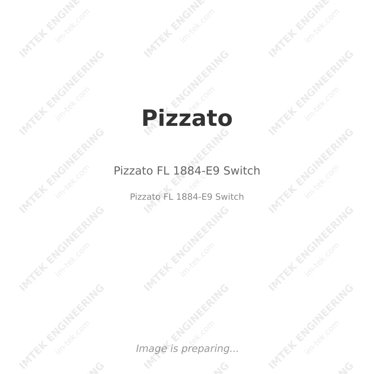 Pizzato Pizzato FL 1884-E9 Switch - Pizzato FL 1884-E9 Switch