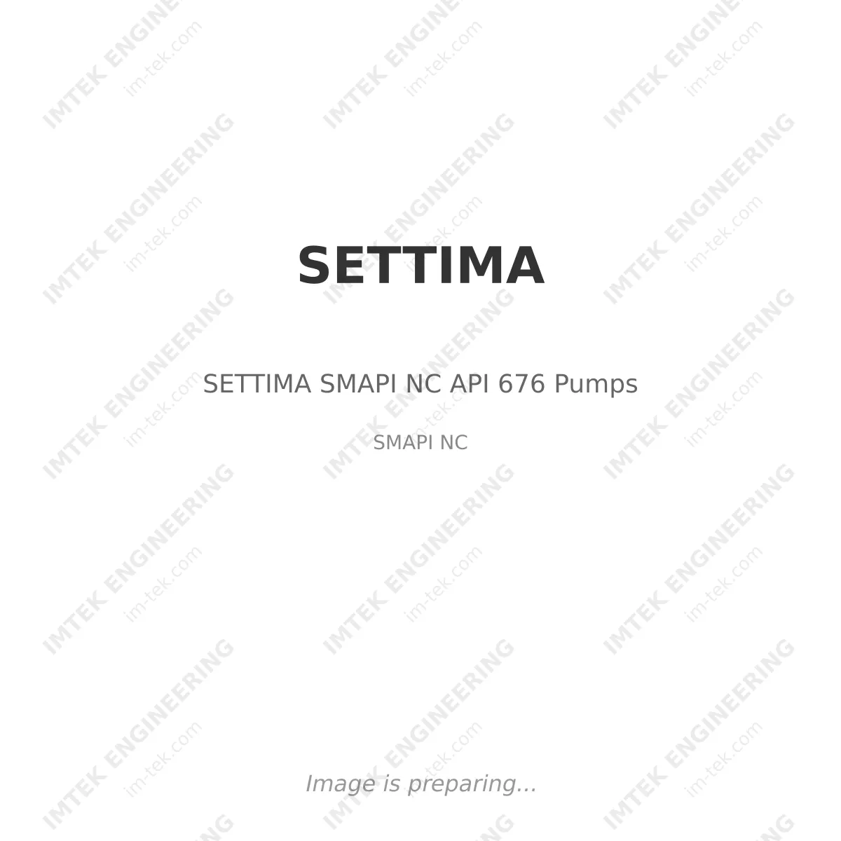 SETTIMA SETTIMA SMAPI NC API 676 Pumps - SMAPI NC