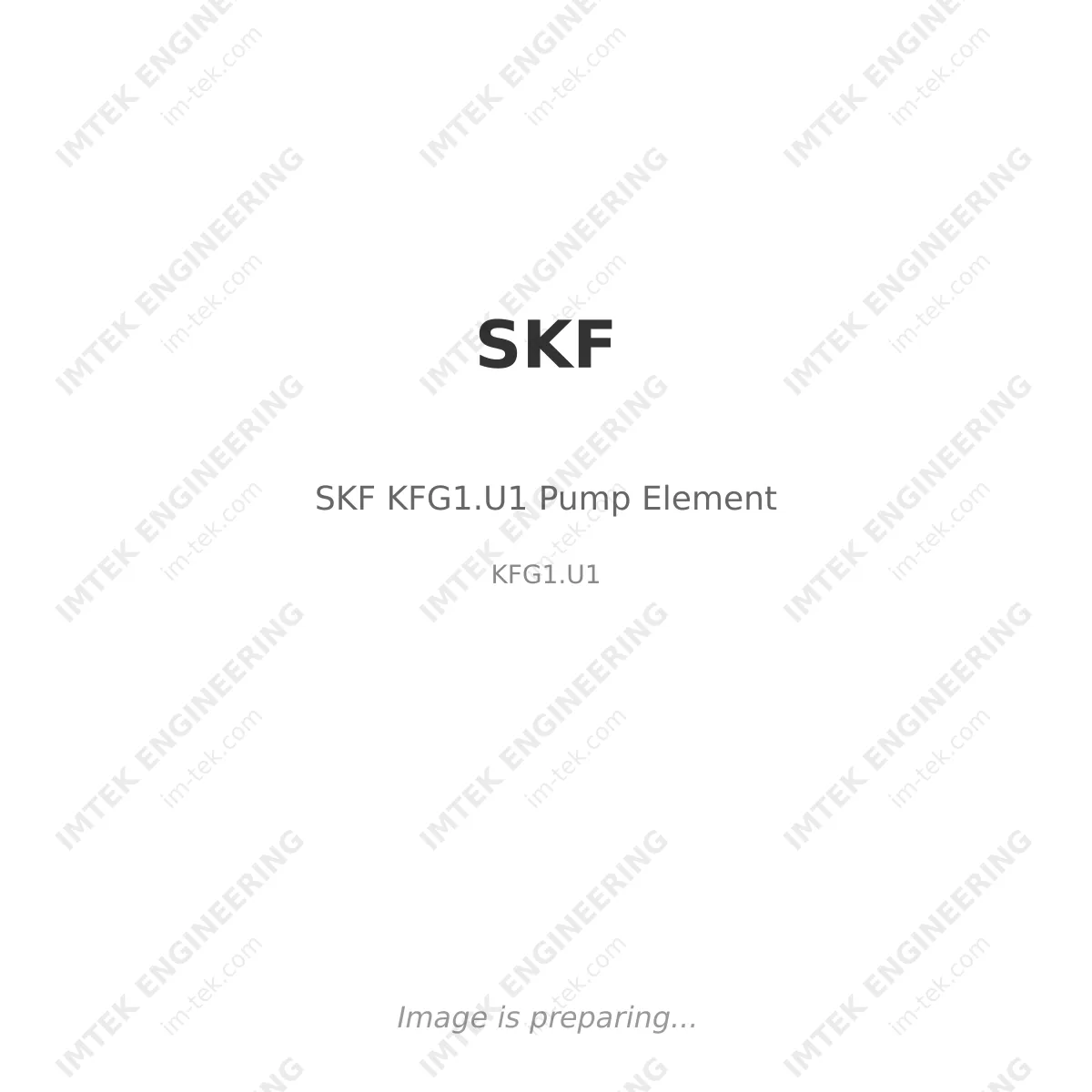 SKF SKF KFG1.U1 Pump Element - KFG1.U1