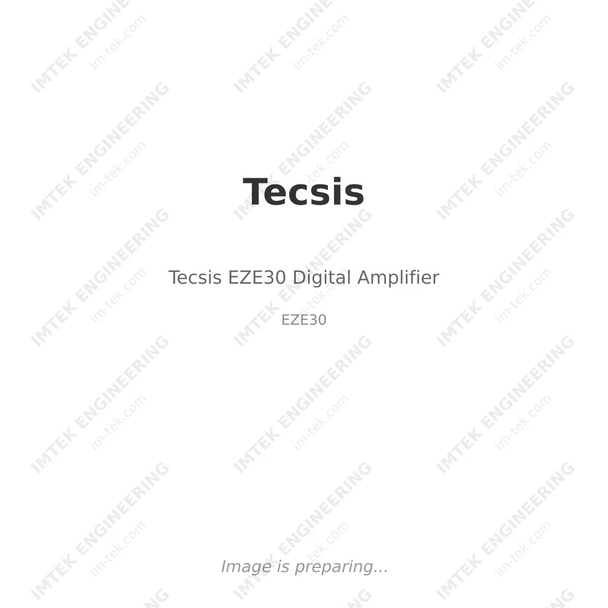 Tecsis Tecsis EZE30 Digital Amplifier - EZE30