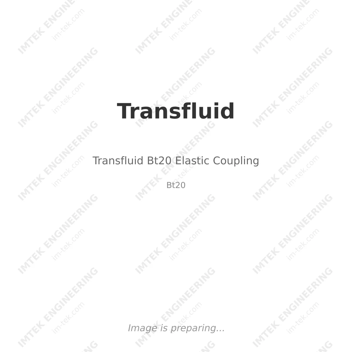 Transfluid Transfluid Bt20 Elastic Coupling - Bt20