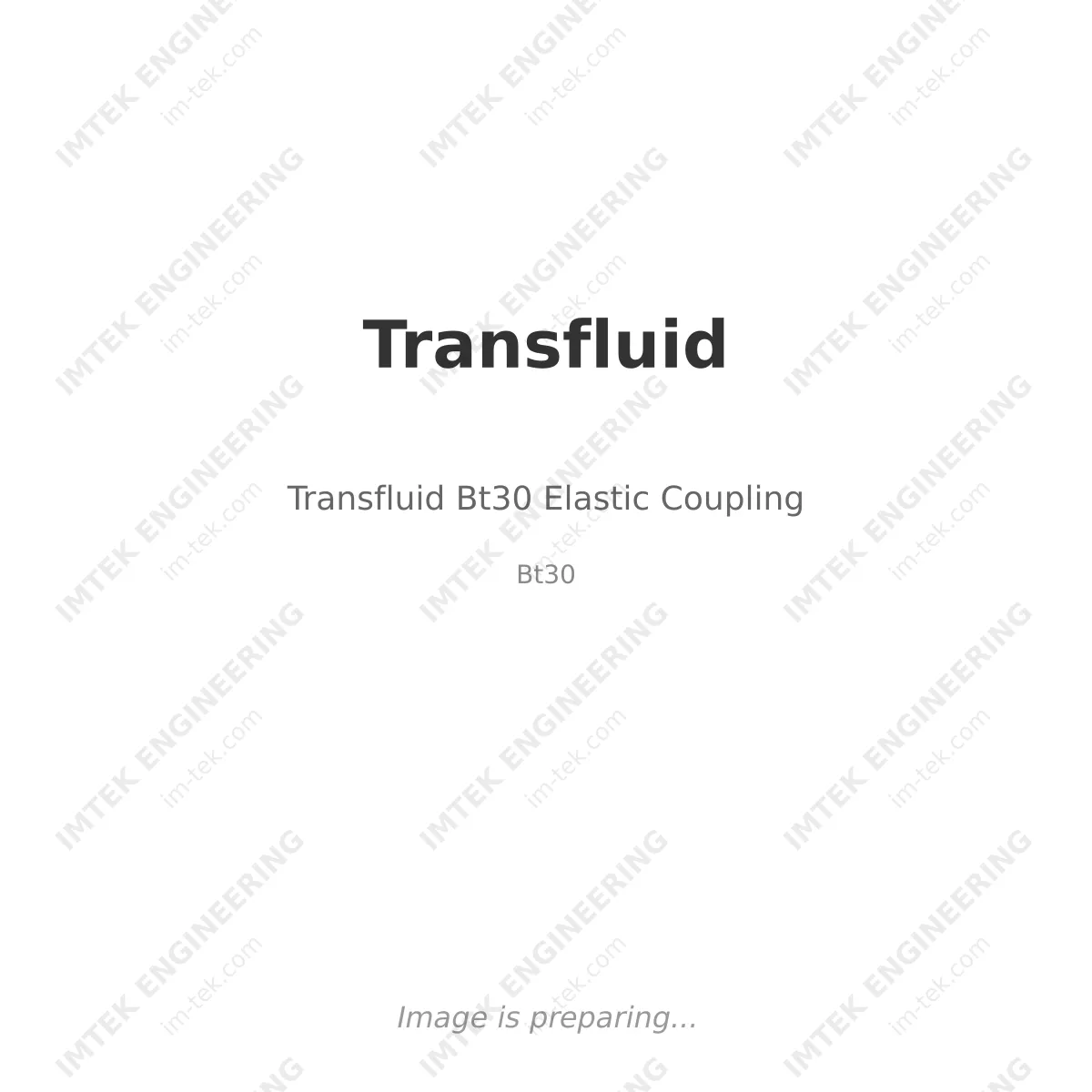 Transfluid Transfluid Bt30 Elastic Coupling - Bt30