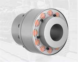 Ringfeder TNR 2428.1  Torsional Highflex Coupling Image