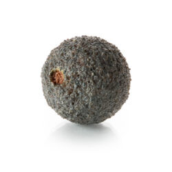 Taprogge T300  Cleaning Ball Image