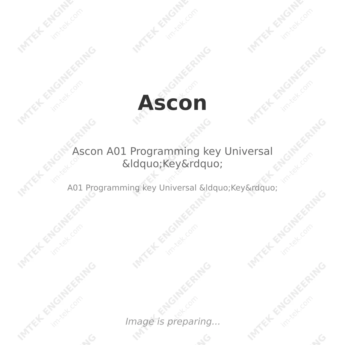 Ascon Ascon A01 Programming key Universal &ldquo;Key&rdquo; - A01 Programming key Universal &ldquo;Key&rdquo;