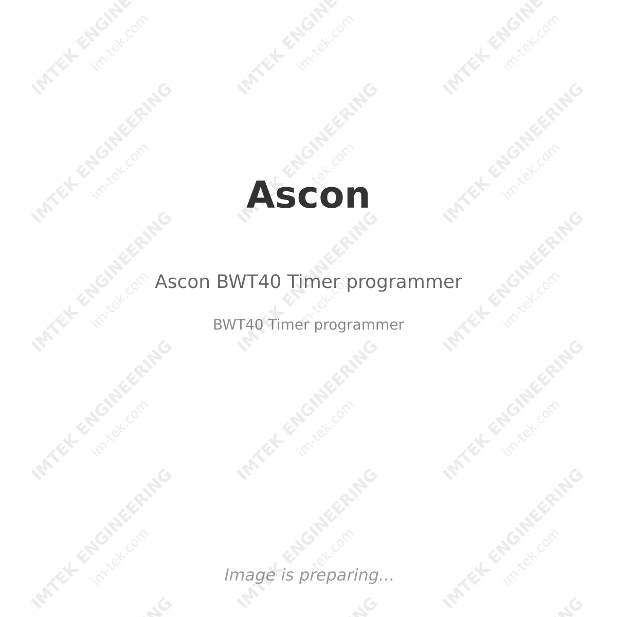 Ascon Ascon BWT40 Timer programmer - BWT40 Timer programmer